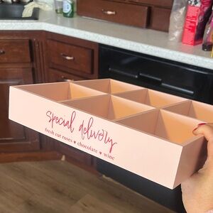 Special Delivery Pink Storage Organizer